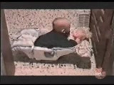 Vido ha ha ha